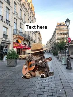 Guitarist cat