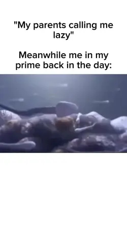 Prime back in the da