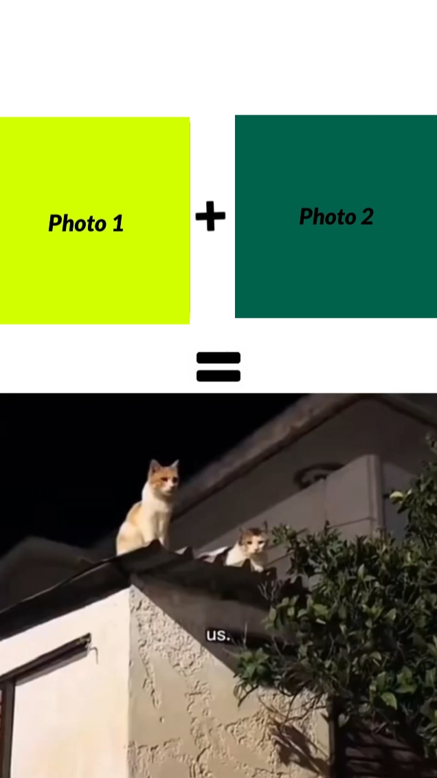New template