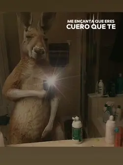 🦘
