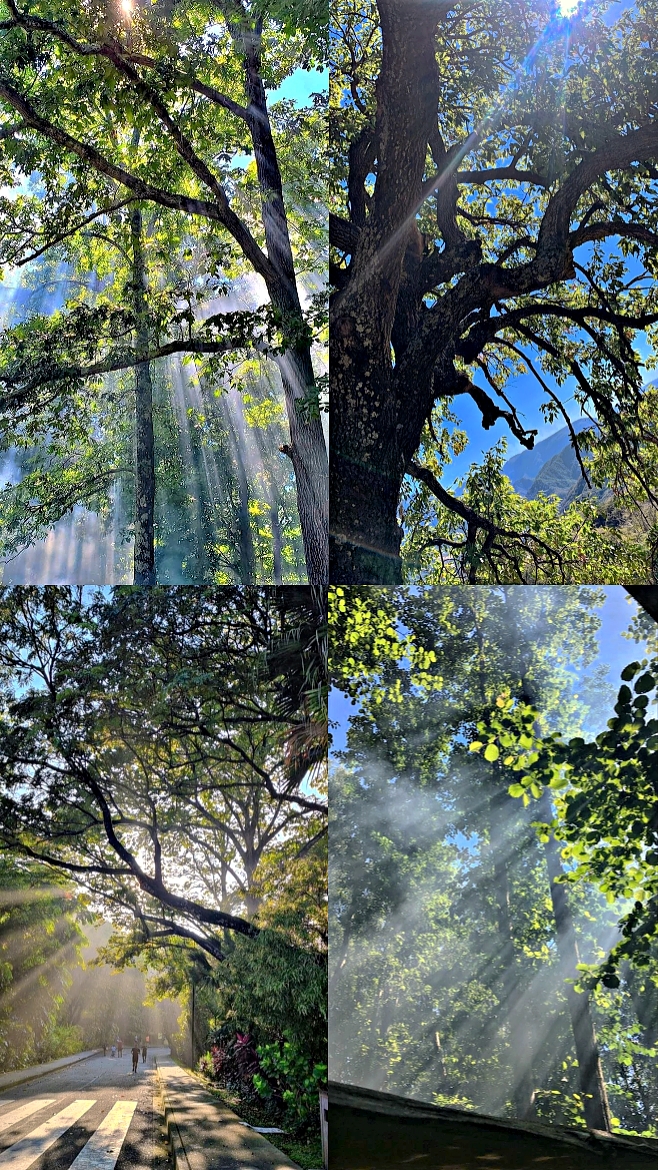 filter iPhone 