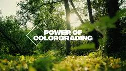 COLORGRADING 