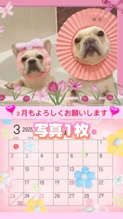 ３月カレンダー／写真一枚