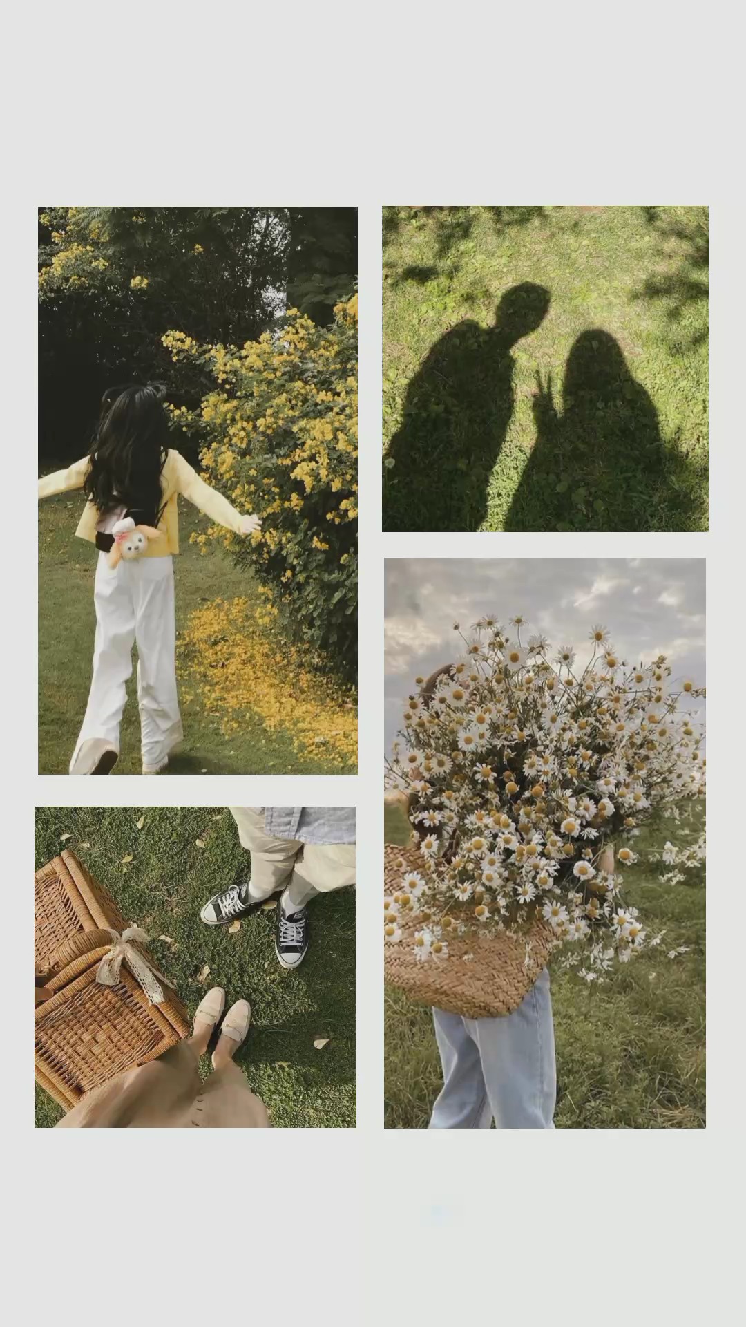 photo college ²⁵⁸