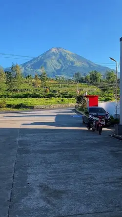 1 VID JERNIH HD