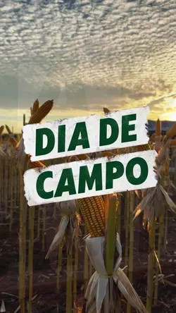 CAMP DAY 🌽