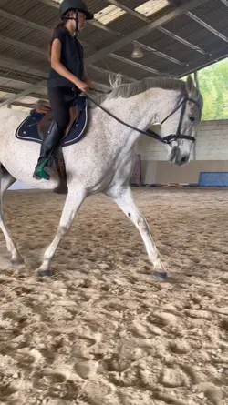 Slowmo horseiriding