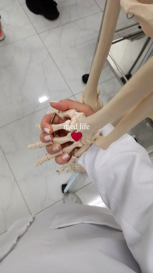메드 라이프