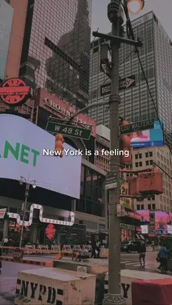 New York is feeling 