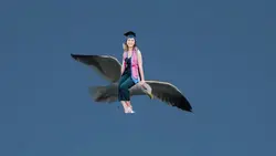 I Believe I can FLY