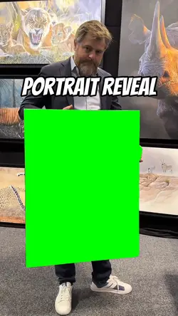 Portrait reveal