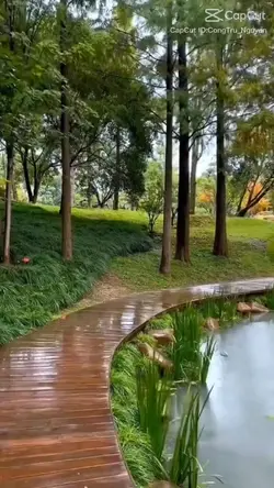 ស្រាបញ្ជា 