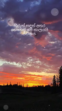 පරසතු යාය 
