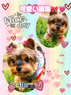 可愛い編集/2clip