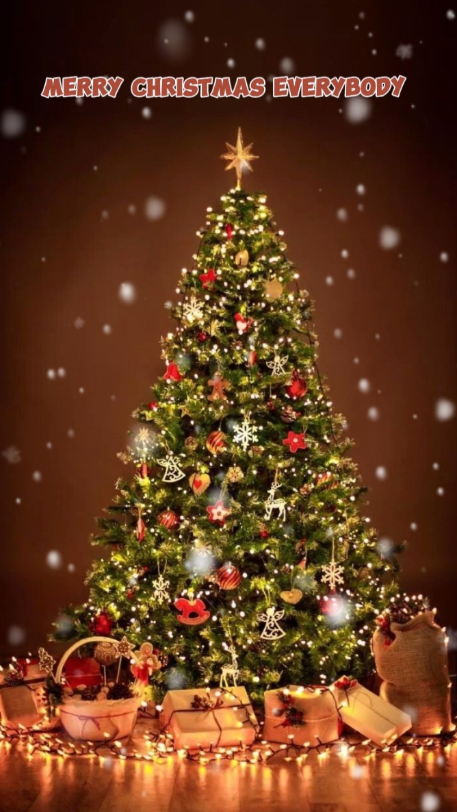 FELIZ NATAL 