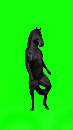 Dancing Horse 