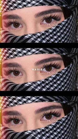 Habibi
