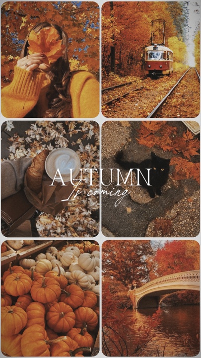 가을이 온다🍂