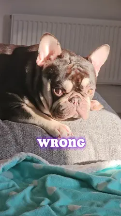 I am cute and funny