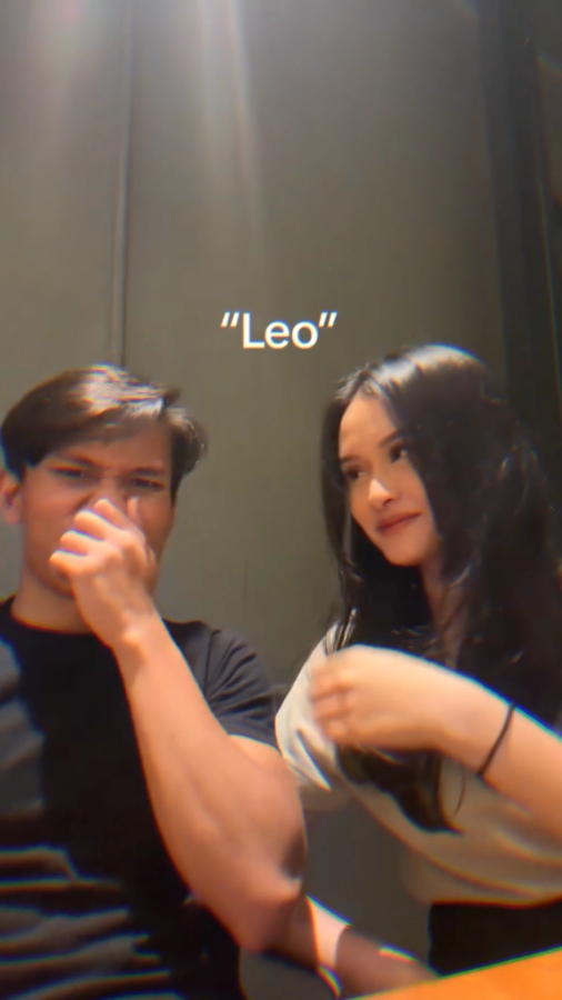 VERSI ZODIAK LEO