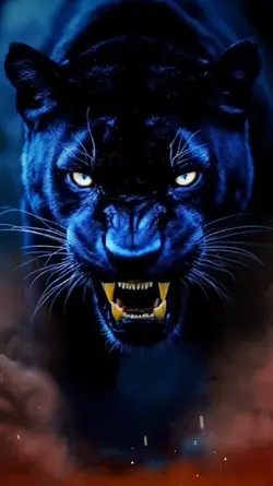 Panther top Intro
