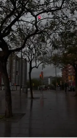 Rain