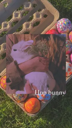 Hop bunny