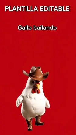 Gallo bailando 