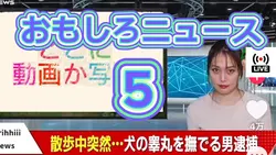 おもしろニュース