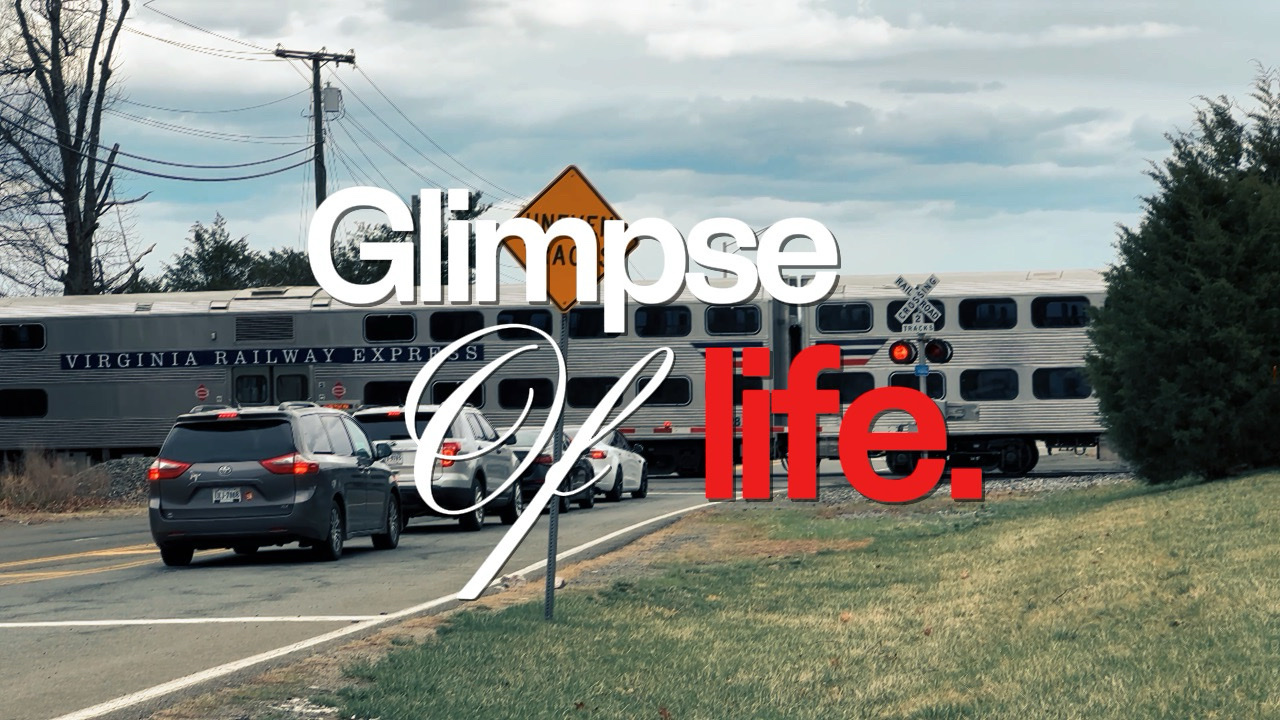 Glimpse Of Life
