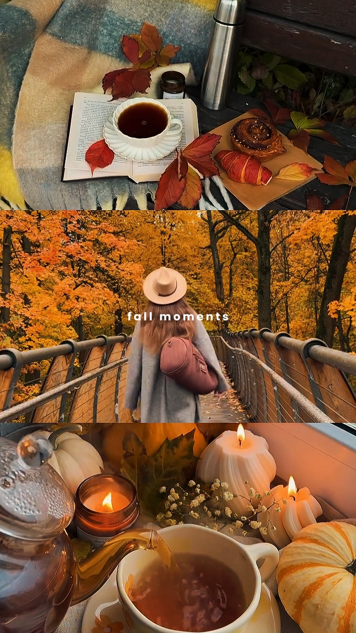 Herbstmomente