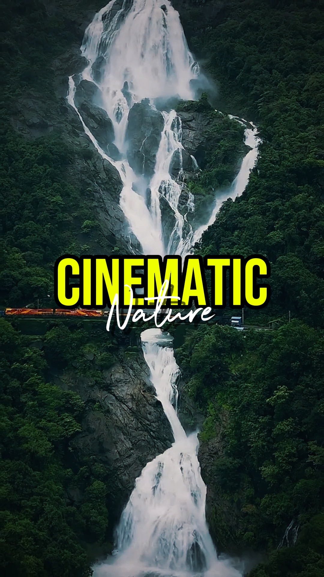 CINEMATIC NATURE