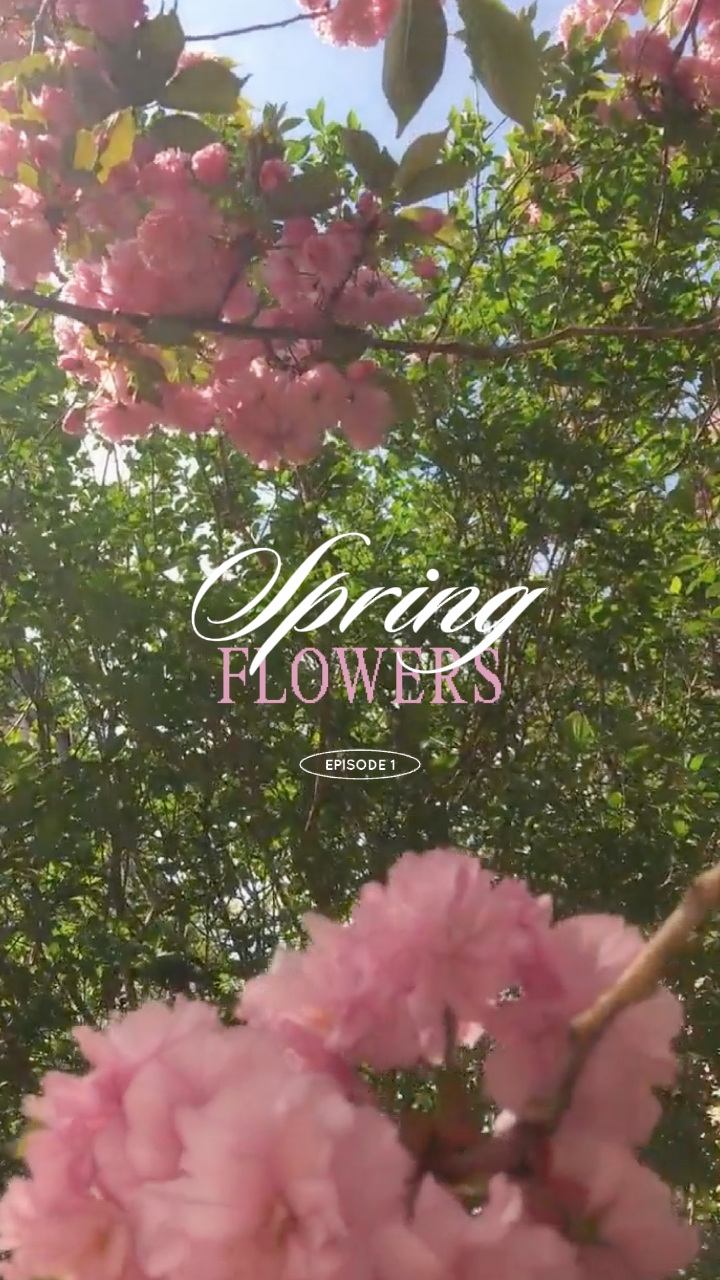 Flores de primavera