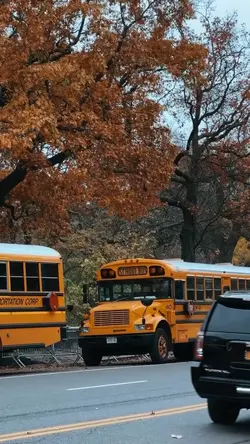 FALL in city