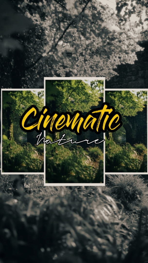 Kinoreife Natur 