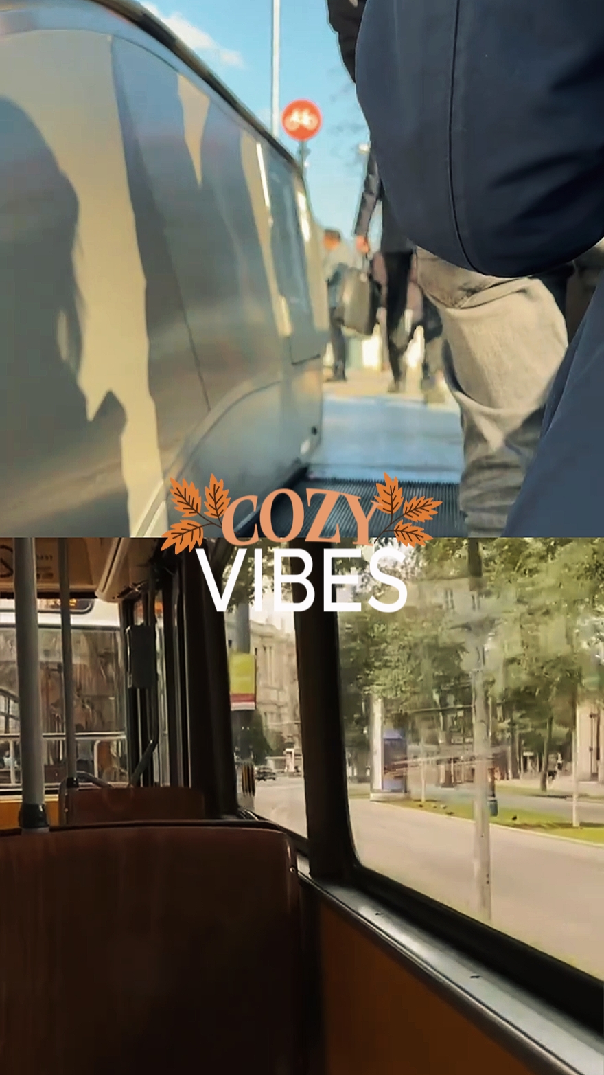 Cozy vibes