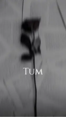 Tum hi ho 🫠❤️