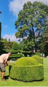 Berkebun
