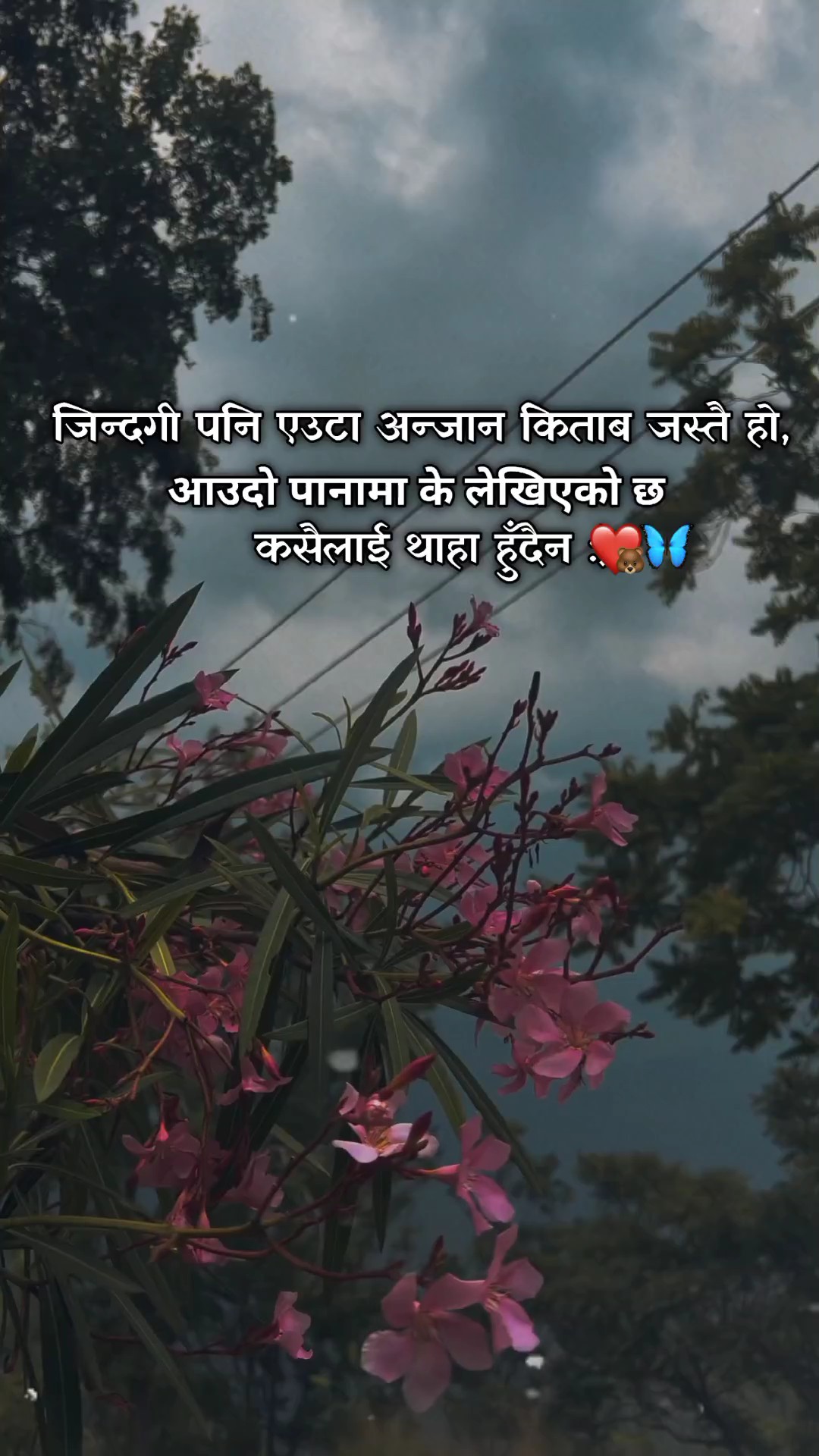 जीवन एउटा किताब हो >