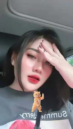 Cat dance kicau