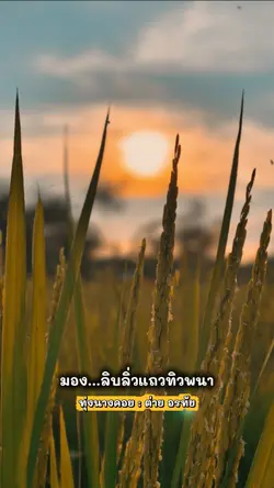 ทุ่งนางคอย