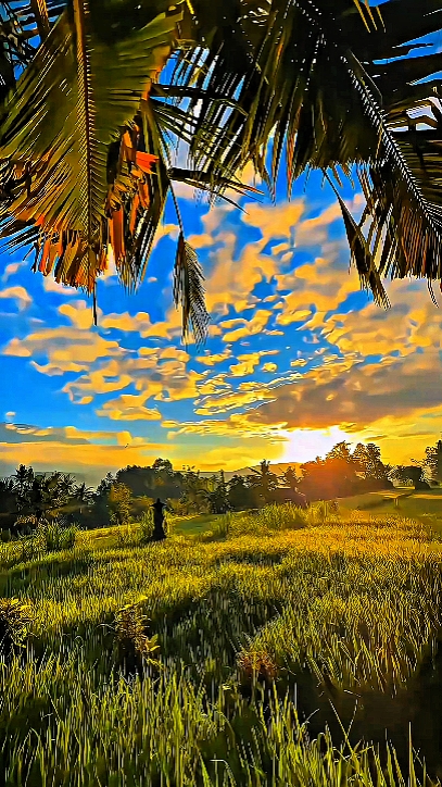 Filtro HD Cerah