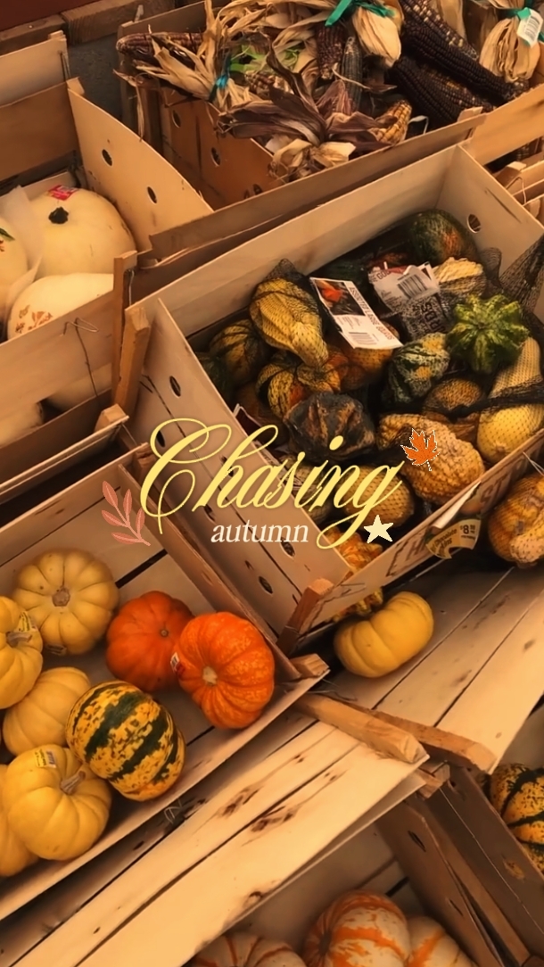 chasing autumn 