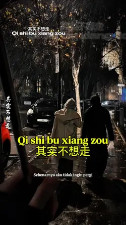 Qi shi bu xiang zou