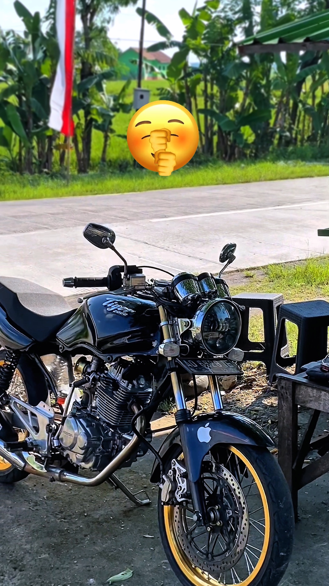Cover Picture