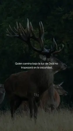 No tropezarás