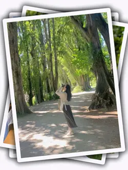 8Pic Frame Aesthetic