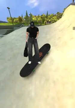 skateboard