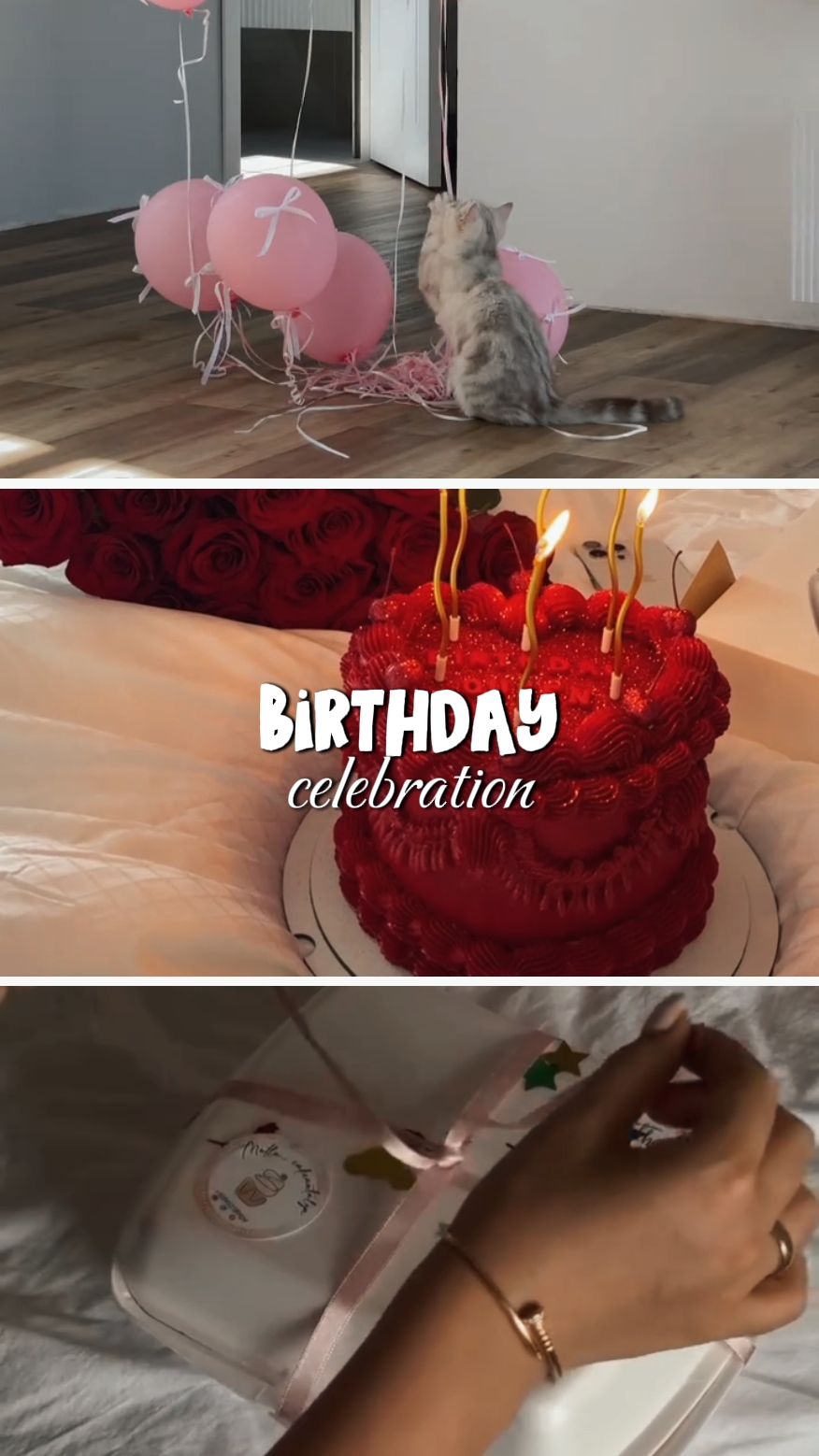 Birthday celebration