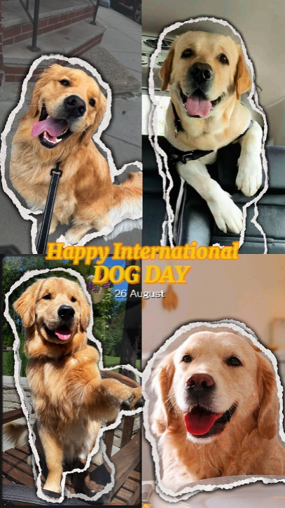 Bonne journée des chiens